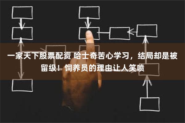 一家天下股票配资 哈士奇苦心学习，结局却是被留级！饲养员的理由让人笑喷