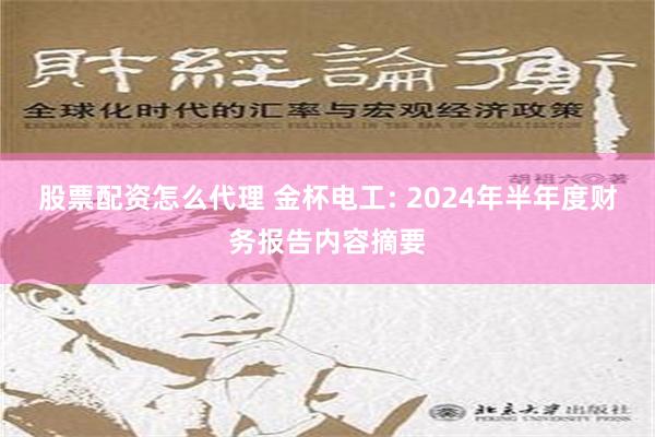 股票配资怎么代理 金杯电工: 2024年半年度财务报告内容摘要