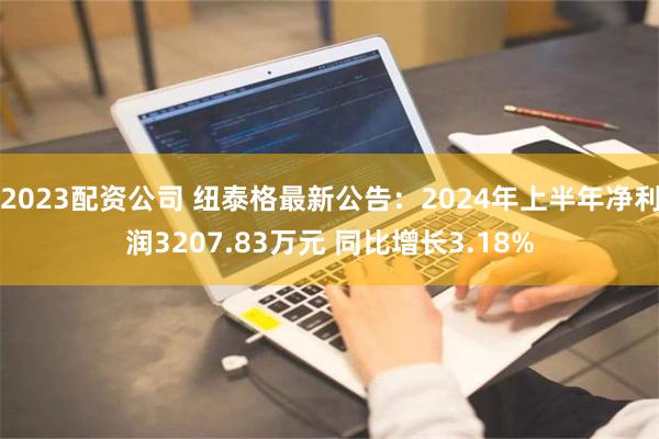 2023配资公司 纽泰格最新公告：2024年上半年净利润3207.83万元 同比增长3.18%