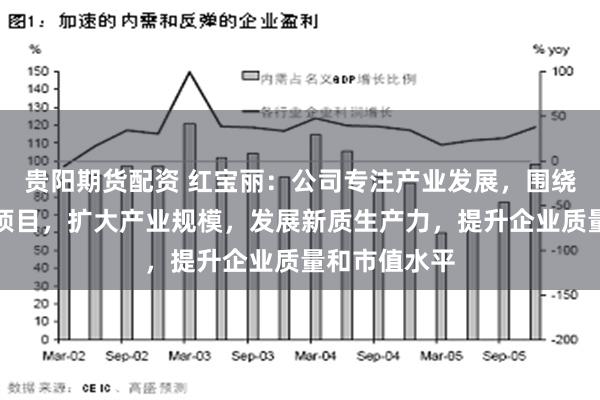 贵阳期货配资 红宝丽：公司专注产业发展，围绕产业链建设项目，扩大产业规模，发展新质生产力，提升企业质量和市值水平