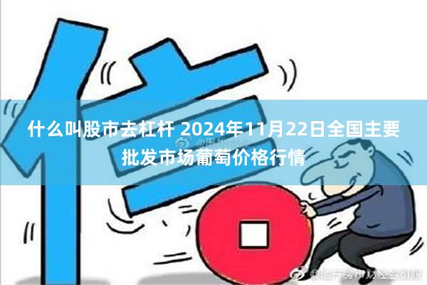 什么叫股市去杠杆 2024年11月22日全国主要批发市场葡萄价格行情