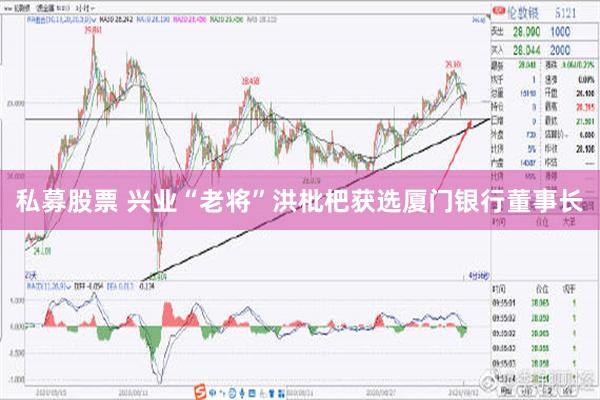 私募股票 兴业“老将”洪枇杷获选厦门银行董事长