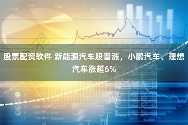 股票配资软件 新能源汽车股普涨，小鹏汽车、理想汽车涨超6%